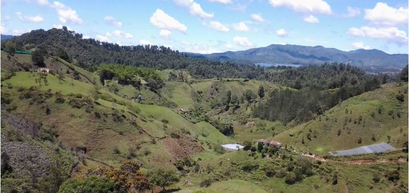 Lote en Venta en Peñol, Peñol-6