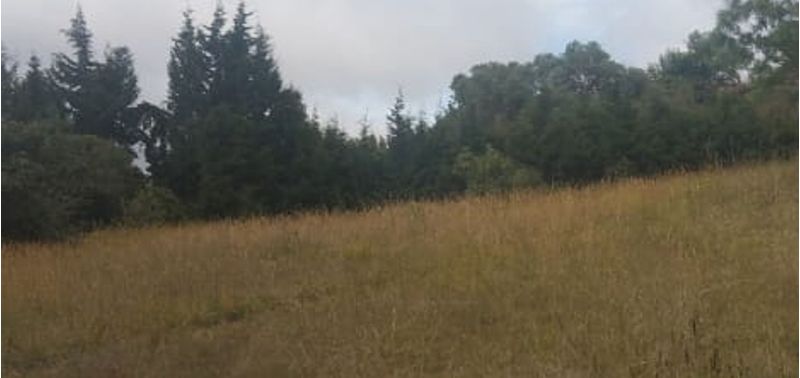Lote en Venta en Bogotá, D.C., Chía-2