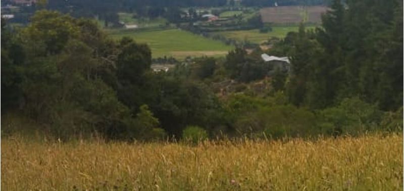 Lote en Venta en Bogotá, D.C., Chía-7