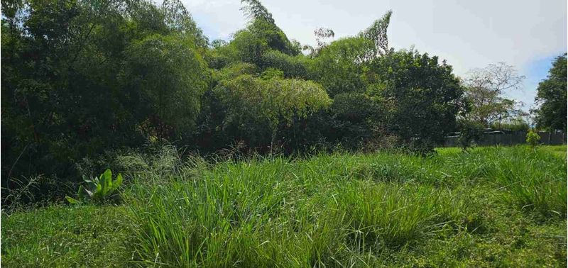Lote en Venta en Pereira, Cerritos-1