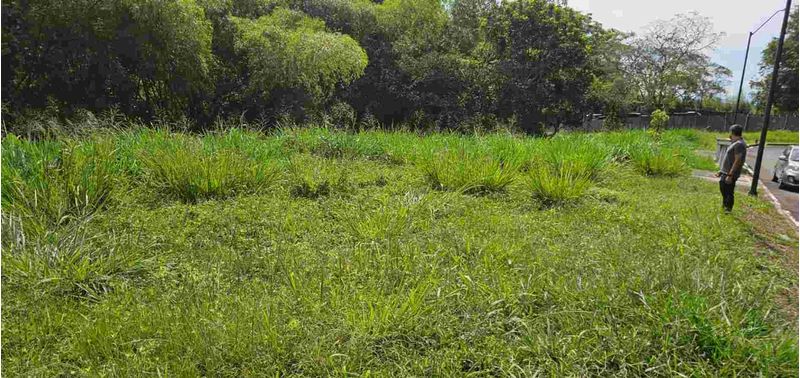 Lote en Venta en Pereira, Cerritos-2
