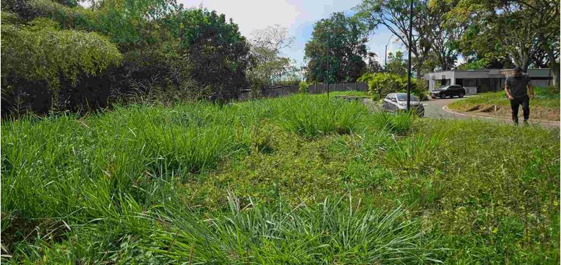 Lote en Venta en Pereira, Cerritos-3