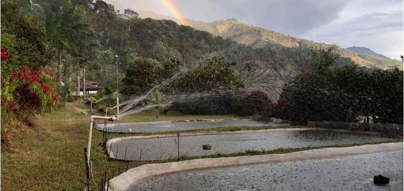 Lote en Venta en Montebello, Montebello-2