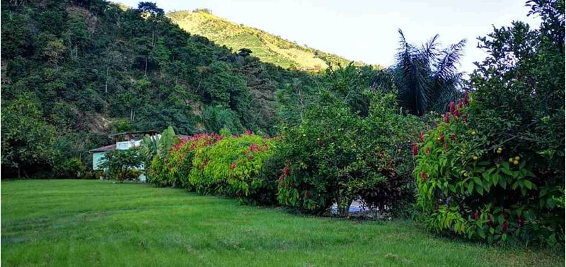 Lote en Venta en Montebello, Montebello-7