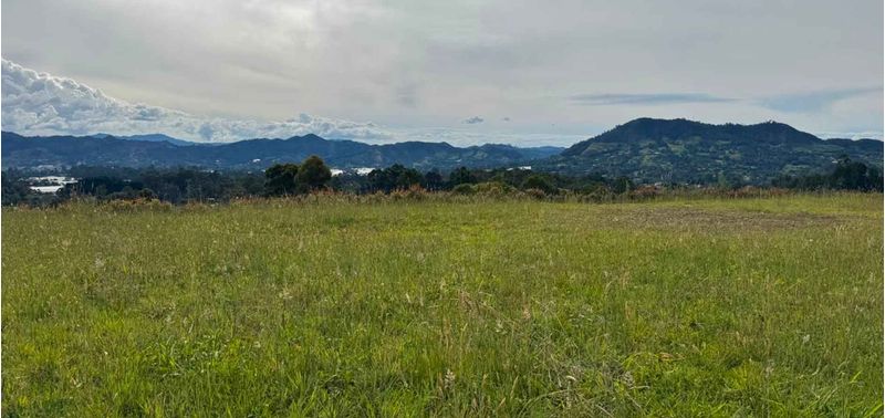 Lote en Venta en La Ceja, La Ceja-4