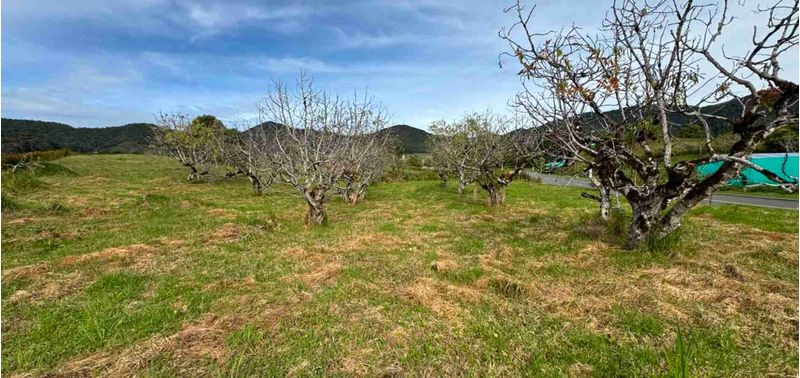 Lote en Venta en La Ceja, La Ceja-2