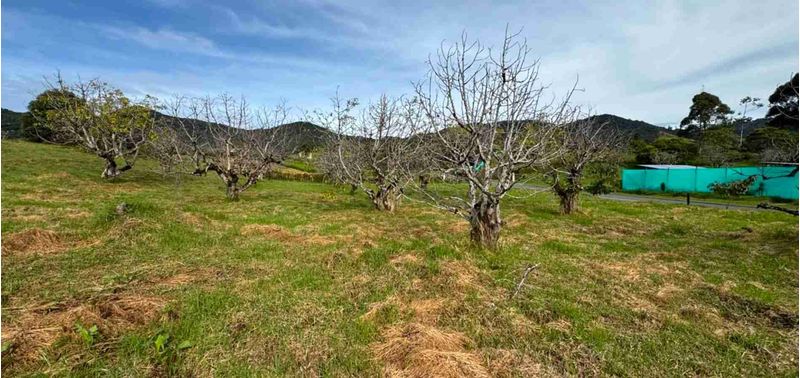 Lote en Venta en La Ceja, La Ceja-4
