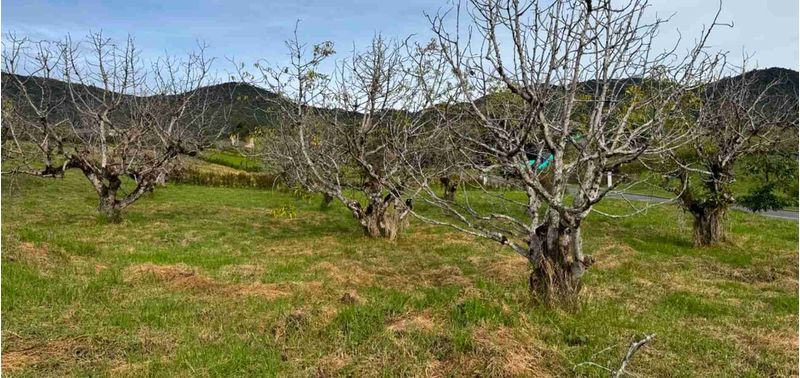 Lote en Venta en La Ceja, La Ceja-5