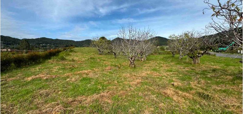 Lote en Venta en La Ceja, La Ceja-6