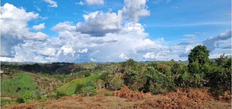 Lote en Venta en San Vicente Ferrer, San Vicente-2
