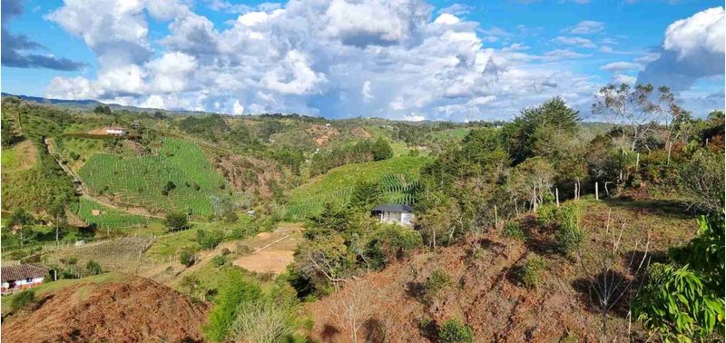 Lote en Venta en San Vicente Ferrer, San Vicente-3