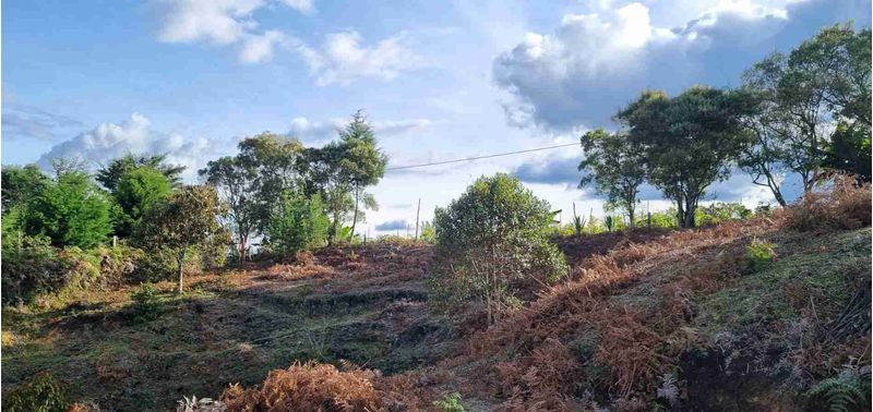 Lote en Venta en San Vicente Ferrer, San Vicente-4