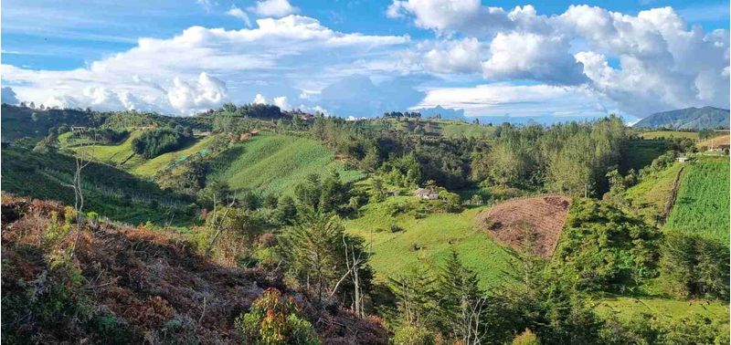 Lote en Venta en San Vicente Ferrer, San Vicente-6