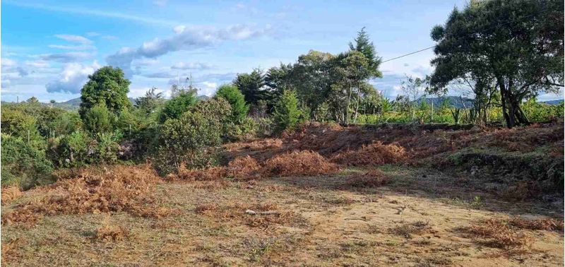 Lote en Venta en San Vicente Ferrer, San Vicente-7