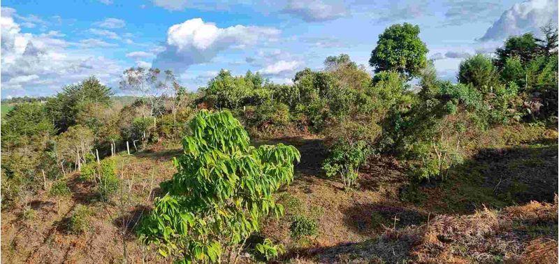 Lote en Venta en San Vicente Ferrer, San Vicente-8