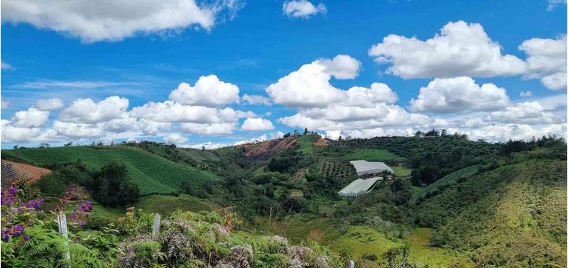 Lote en Venta en San Vicente Ferrer, San Vicente-3