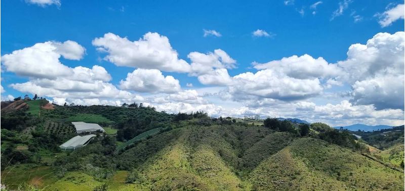 Lote en Venta en San Vicente Ferrer, San Vicente-5