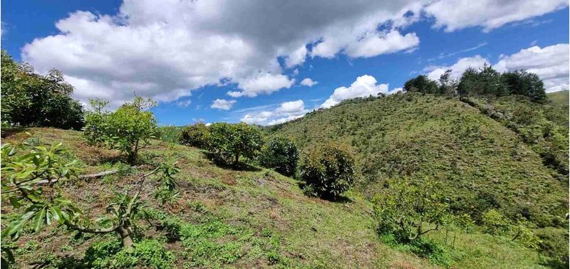 Lote en Venta en San Vicente Ferrer, San Vicente-6