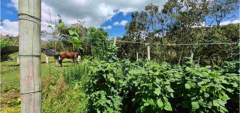 Lote en Venta en San Vicente Ferrer, San Vicente-7