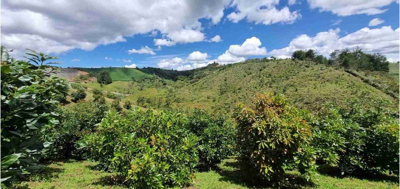 Lote en Venta en San Vicente Ferrer, San Vicente-11