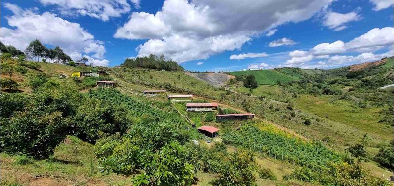 Lote en Venta en San Vicente Ferrer, San Vicente-12