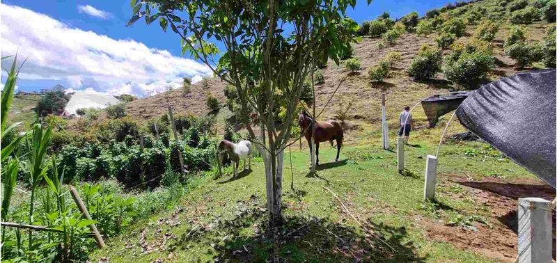 Lote en Venta en San Vicente Ferrer, San Vicente-16