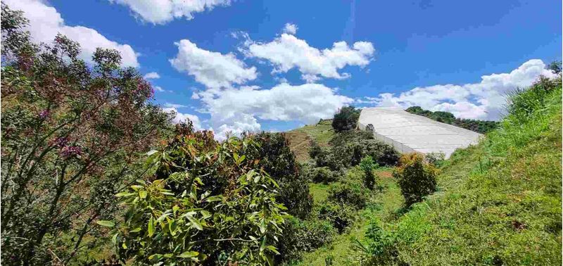 Lote en Venta en San Vicente Ferrer, San Vicente-17