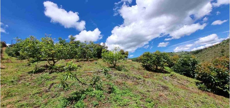 Lote en Venta en San Vicente Ferrer, San Vicente-20