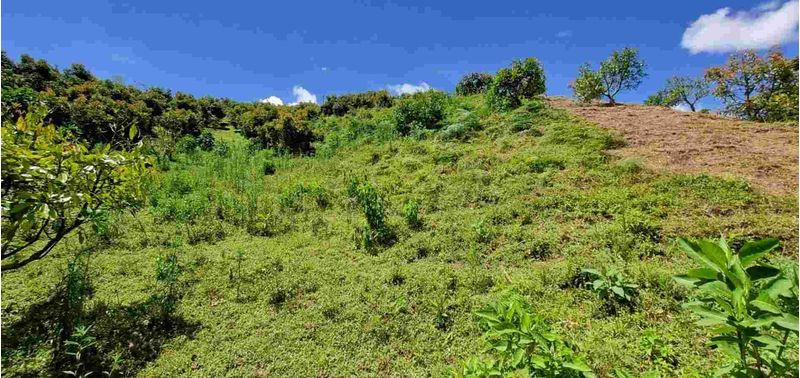 Lote en Venta en San Vicente Ferrer, San Vicente-21