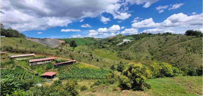 Lote en Venta en San Vicente Ferrer, San Vicente-22