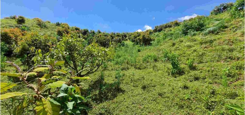 Lote en Venta en San Vicente Ferrer, San Vicente-24