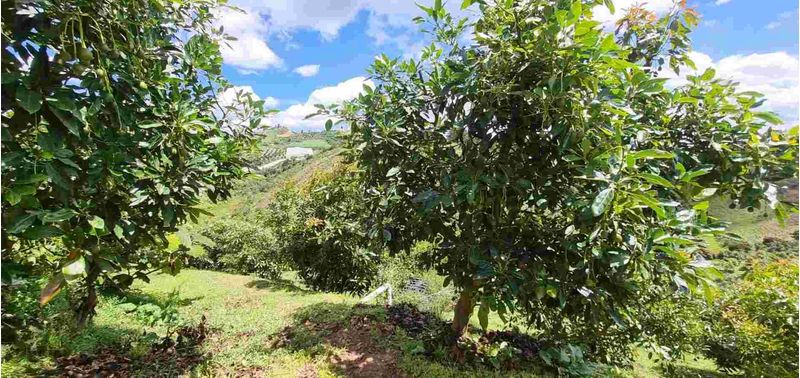 Lote en Venta en San Vicente Ferrer, San Vicente-25