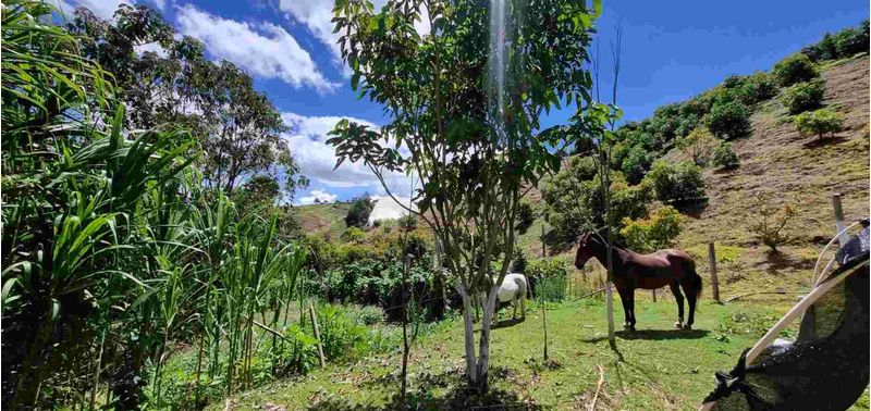 Lote en Venta en San Vicente Ferrer, San Vicente-26