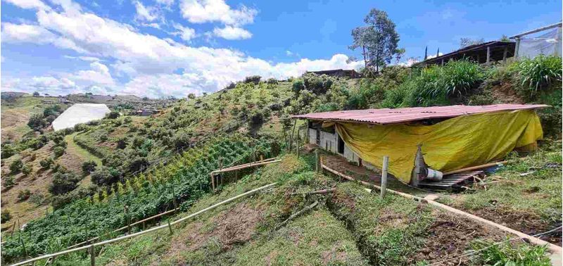 Lote en Venta en San Vicente Ferrer, San Vicente-27