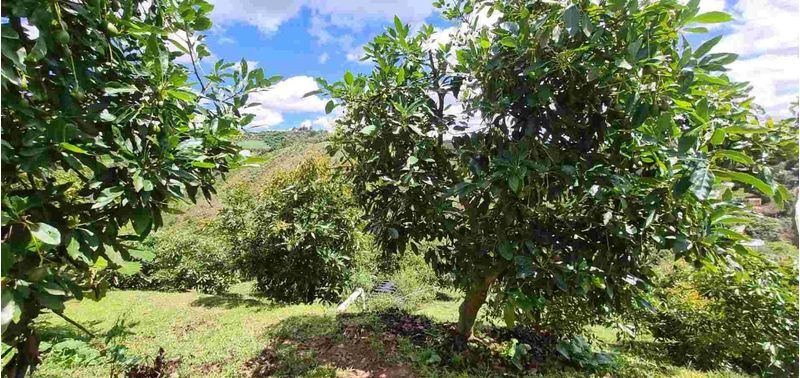Lote en Venta en San Vicente Ferrer, San Vicente-28