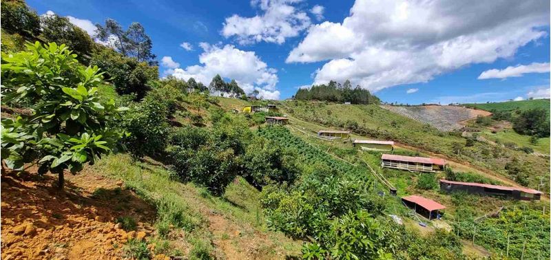 Lote en Venta en San Vicente Ferrer, San Vicente-29