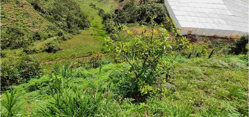 Lote en Venta en San Vicente Ferrer, San Vicente-31