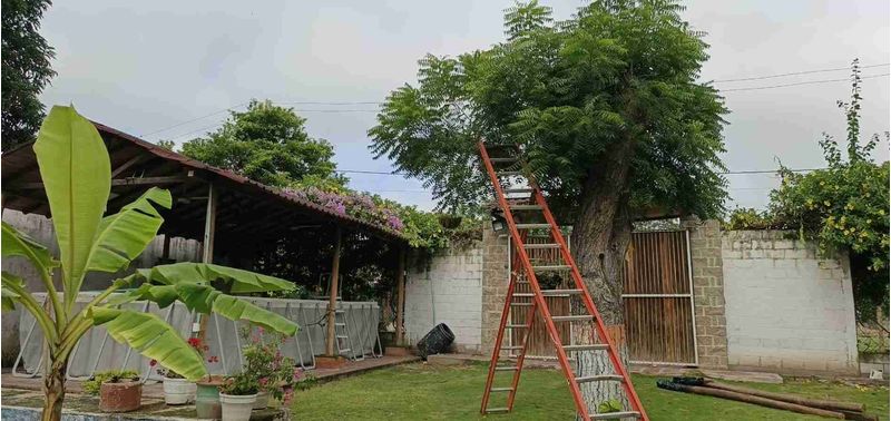 Casa en Venta en Sabanalarga, Cascajal-5
