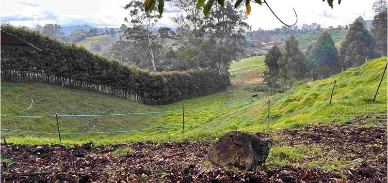 Lote en Venta en Rionegro, Rionegro-0