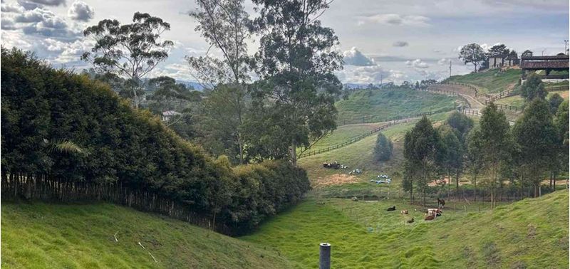 Lote en Venta en Rionegro, Rionegro-2