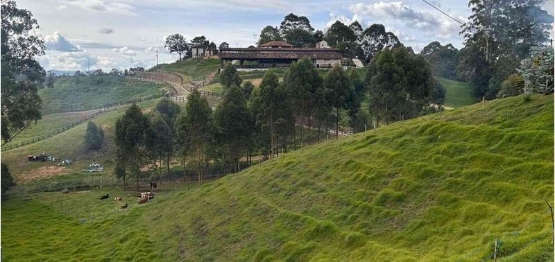 Lote en Venta en Rionegro, Rionegro-3