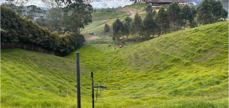 Lote en Venta en Rionegro, Rionegro-4