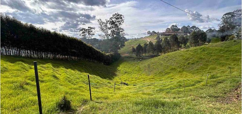Lote en Venta en Rionegro, Rionegro-7