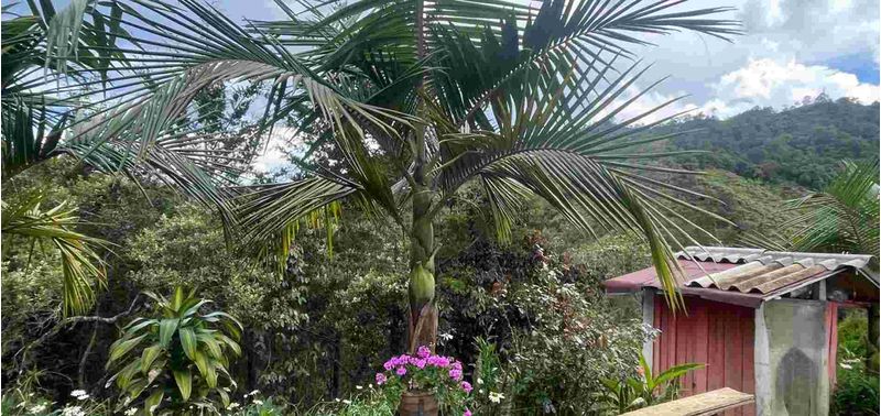 Casa en Venta en Guarne, Bellavista-7