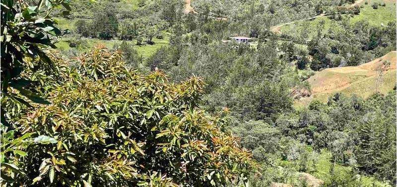 Casa en Venta en Guarne, Bellavista-12
