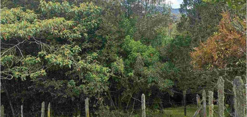 Lote en Venta en Retiro, El Portento-0