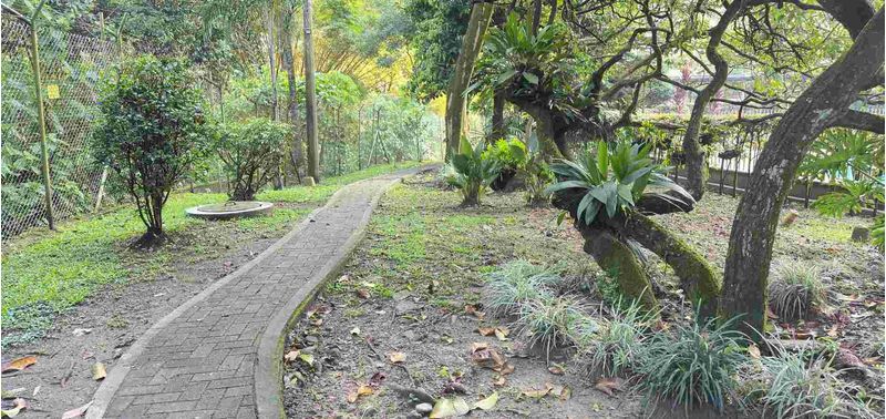 Apartamento en Venta en Envigado, La Abadía-21