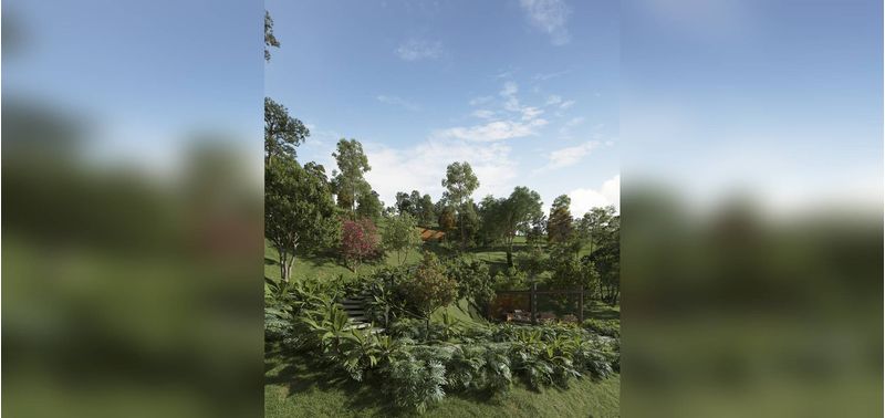 Tierra Grata Magica proyecto de vivienda-14