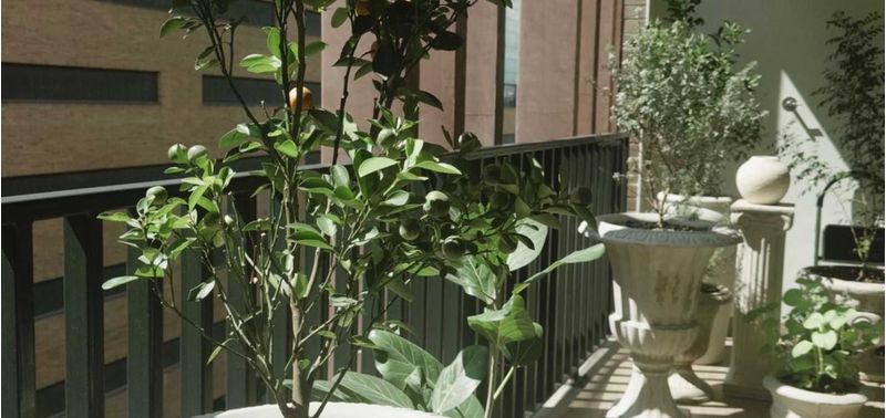 Apartamento en Venta en Medellín, El Poblado-14