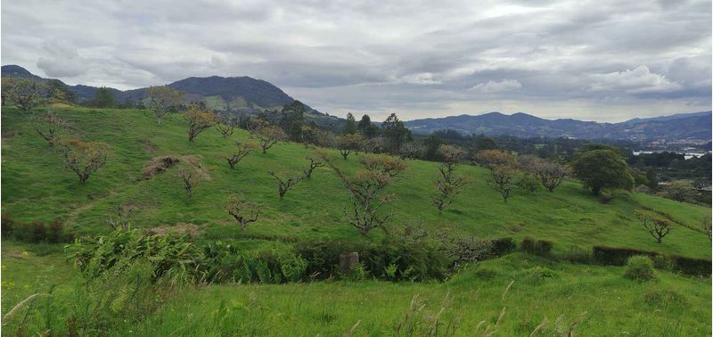 Lote en Venta en La Ceja, La Ceja